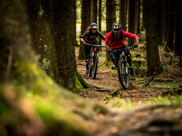 Mountainbiker auf Waldweg in Willingen Mountainbiker auf Waldweg in Willingen