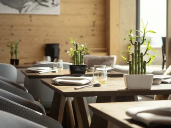 The Japanese at Gütsch