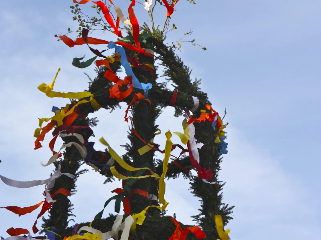 Maibaum Mit bunten Bändern geschmückter Maibaum mit frischem Grün vor blauem Himmel.