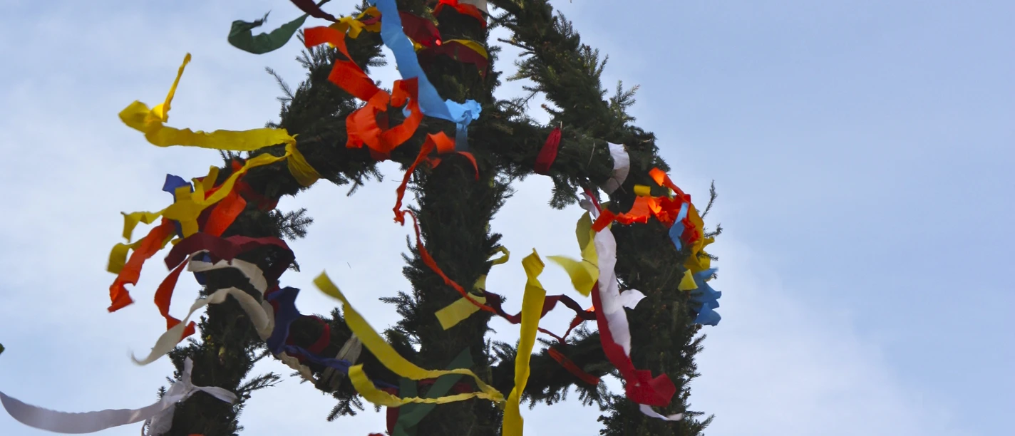 Maibaum Mit bunten Bändern geschmückter Maibaum mit frischem Grün vor blauem Himmel.