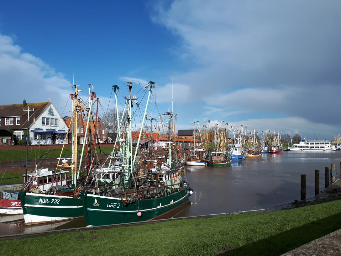 Hafen Greetsiel Fischerboote mit bunten Masten liegen im Hafen von Greetsiel vor roten Backsteinhäusern am Wasser.