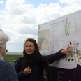 Salzwiesenführung Ein Tour-Guide erklärt einer kleinen Gruppe Pflanzenarten auf einer Infotafel im Nationalpark Wattenmeer.