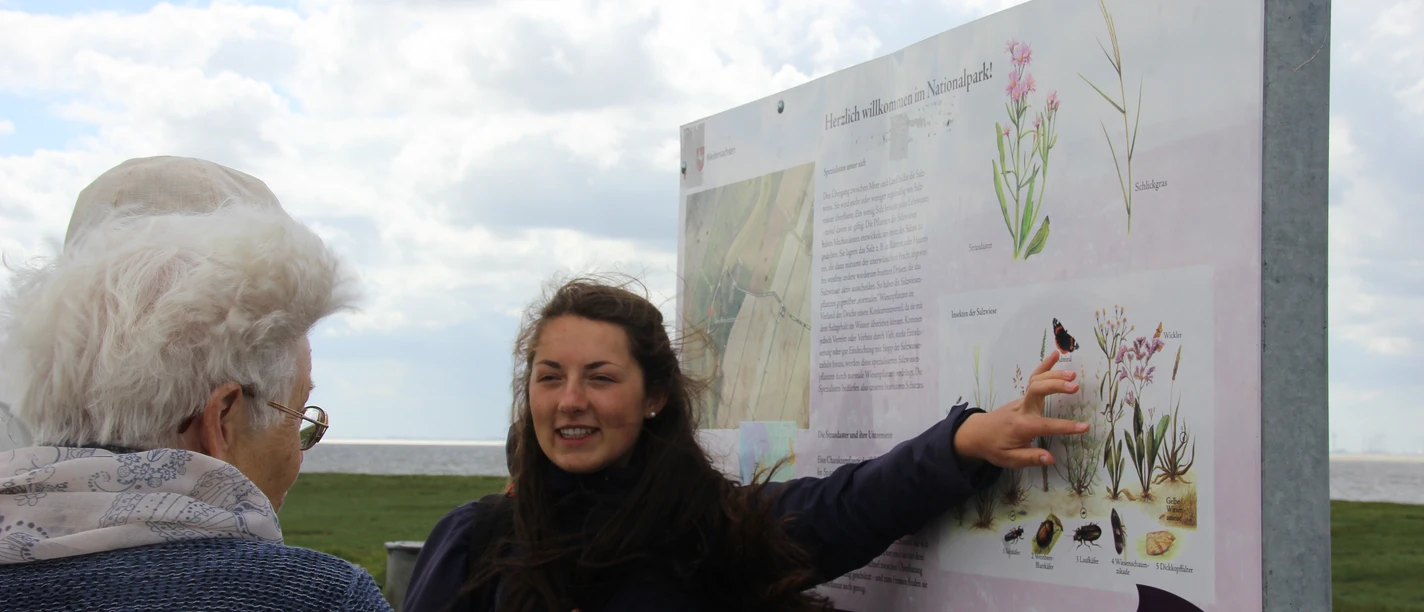 Salzwiesenführung Ein Tour-Guide erklärt einer kleinen Gruppe Pflanzenarten auf einer Infotafel im Nationalpark Wattenmeer.