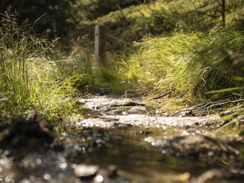 Kneipp-Anlage Silbersand Riederalp