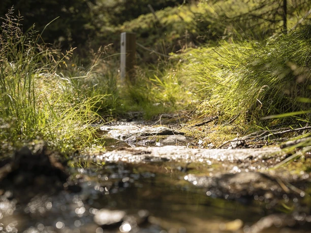 Kneipp-Anlage Silbersand Riederalp