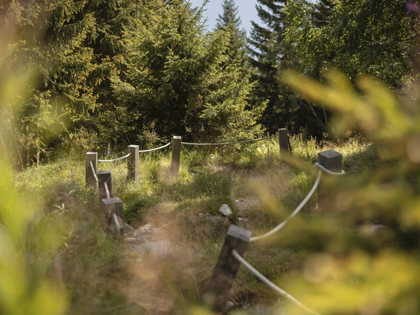 Kneipp-Anlage Silbersand Riederalp