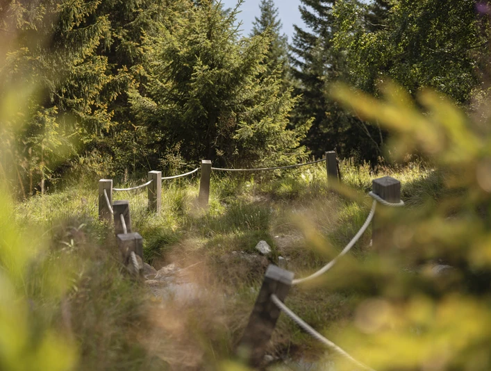 Kneipp-Anlage Silbersand Riederalp