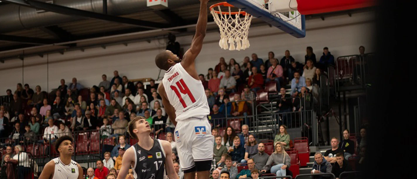 brandon_thomas-c-artland dragons.png brandon_thomas-c-artland dragons.png