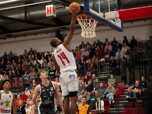 brandon_thomas-c-artland dragons.png