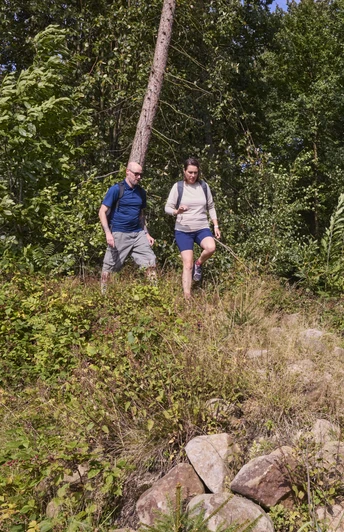 LeistruperWald-LeistruperWaldRoute-LeistruperWald-LTMGmbH-HirschmeierMediaGmbH&CoKG_047.jpg Zwei Wanderer im Grünen auf einem schmalen Waldpfad, umgeben von hohen Bäumen und dichtem Laubwerk.