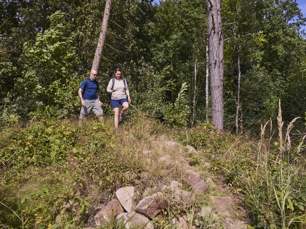 LeistruperWald-LeistruperWaldRoute-LeistruperWald-LTMGmbH-HirschmeierMediaGmbH&CoKG_047.jpg Zwei Wanderer im Grünen auf einem schmalen Waldpfad, umgeben von hohen Bäumen und dichtem Laubwerk.