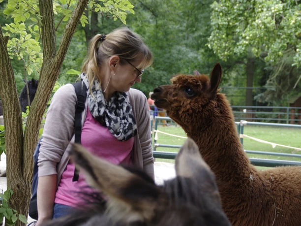 The picture shows a young blonde woman watching a brown alpaca, family outing, Leipzig region