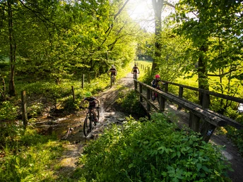 Familienausflug mit dem Bike in Willingen Familienausflug mit dem Bike in Willingen