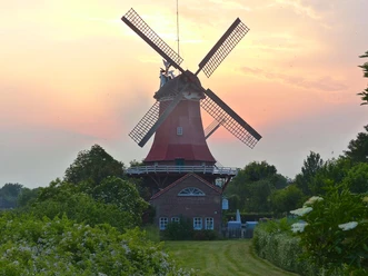 Greetsieler Zwillingsmühle The Greetsiel Twin Mill at sunset, surrounded by green bushes and a meadow.