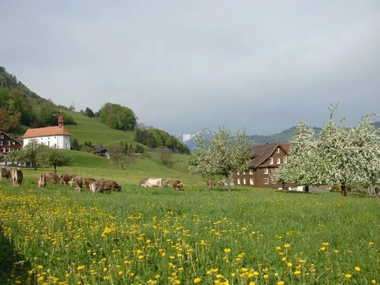 B&B Bauernhof Bächli.jpg