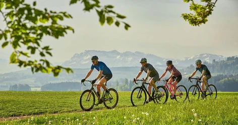 VelofahrenJogging oberhalb Sempachersee_5 (1).jpg