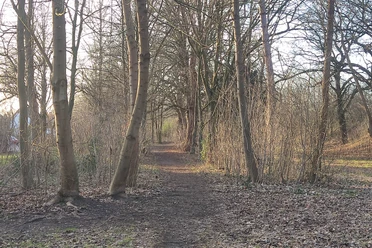 Minden - Minderheide.jpg Das Bild zeigt einen Weg durch ein Wäldchen.