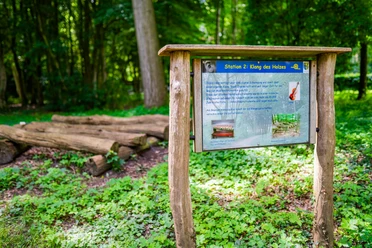 Naturerlebnispfad_Wassermühle_Lünne©MedienAtelierEmsland.jpg Holztafel mit Infotext zur Station Klang des Holzes im grünen Wald am Naturerlebnispfad Lünne