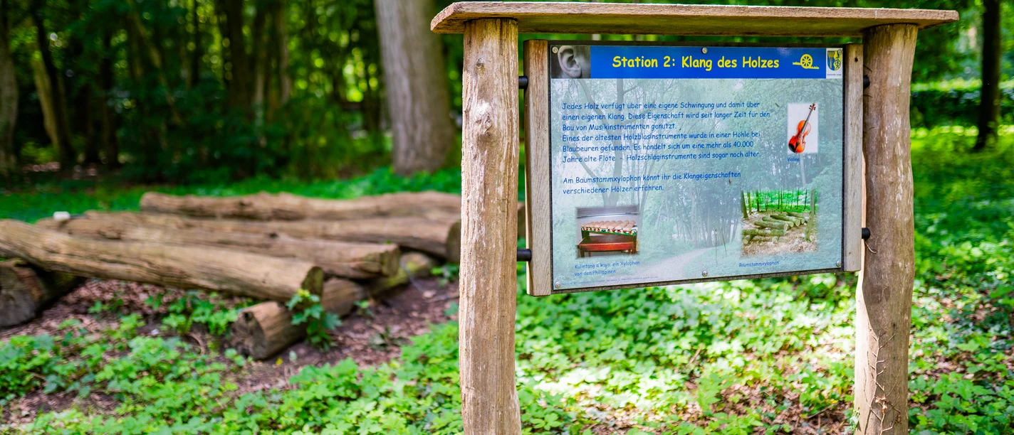 Naturerlebnispfad_Wassermühle_Lünne©MedienAtelierEmsland.jpg Holztafel mit Infotext zur Station Klang des Holzes im grünen Wald am Naturerlebnispfad Lünne
