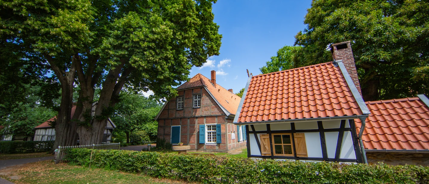Areal-Altes-Pfarrhaus_Schapen©MedienAtelierEmsland.jpg Historische Fachwerkhäuser mit roten Dächern neben alten Bäumen unter blauem Sommerhimmel.