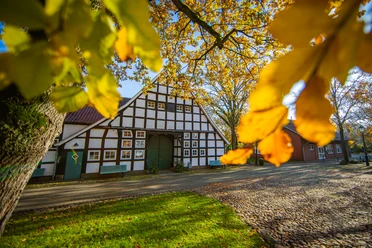 Wöhlehof_Spelle©MedienAtelierEmsland.jpg Fachwerkhaus Wöhlehof in Spelle, umgeben von herbstlich gefärbten Bäumen und Kopfsteinpflaster.