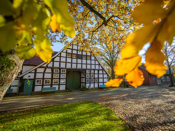 Wöhlehof_Spelle©MedienAtelierEmsland.jpg Fachwerkhaus Wöhlehof in Spelle, umgeben von herbstlich gefärbten Bäumen und Kopfsteinpflaster.