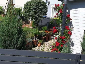 Blick in den Gartenbereich