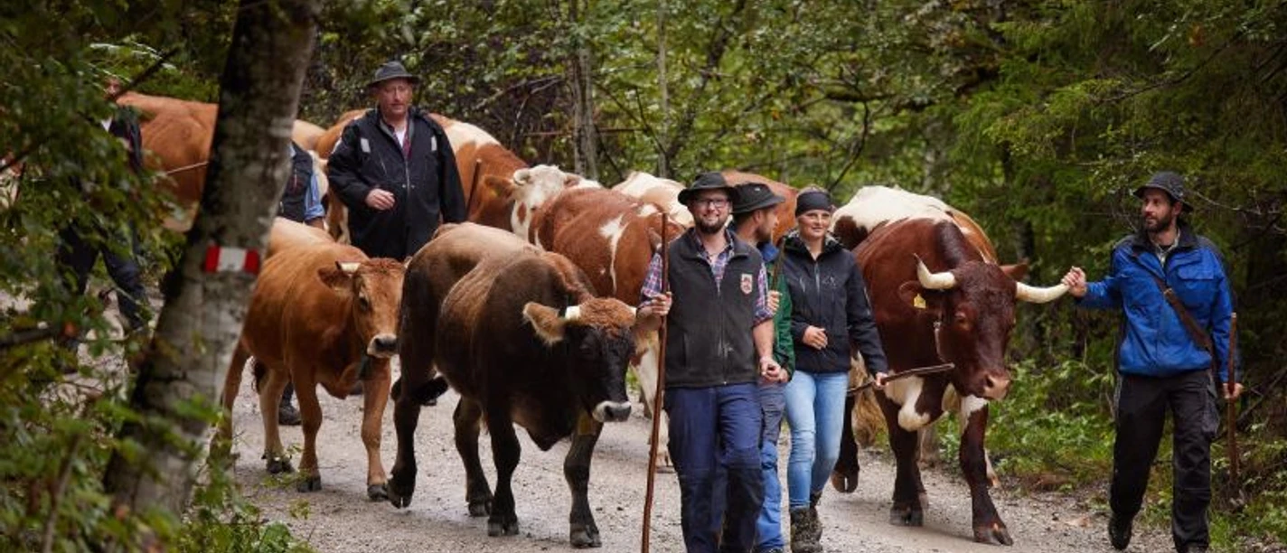 Almfest mit kleinem traditionellem Almabtrieb