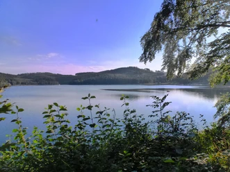 Hennesee Hennesee