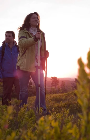Wandertour bei Sonnenaufgang in Willingen Wandertour bei Sonnenaufgang in Willingen