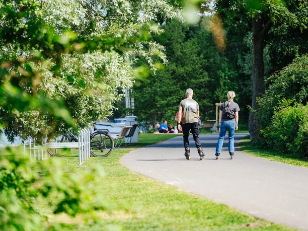 Inlineskater im Allerpark
