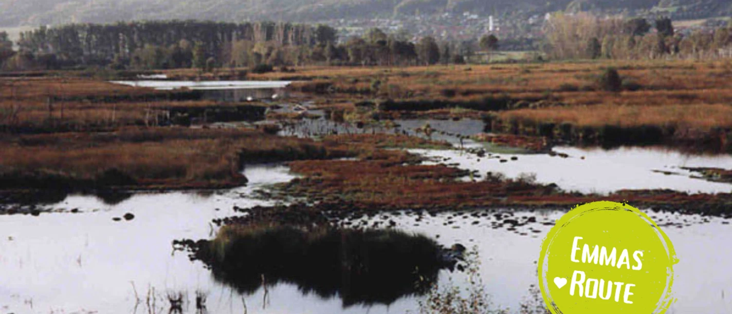 Hummelbecker Runde.png Sumpflandschaft mit Wasserflächen und Schilf, im Hintergrund bewaldete Hügel einer ländlichen Region.