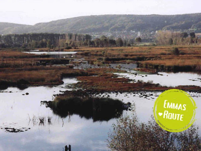 Hummelbecker Runde.png Sumpflandschaft mit Wasserflächen und Schilf, im Hintergrund bewaldete Hügel einer ländlichen Region.