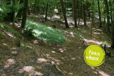 Minden - Kohlmeisenweg.png Das Bild zeigt einen Weg im Wald.