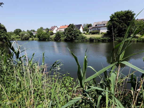 Bad Emstal - Kurpark Teich Bad Emstal - Kurpark Teich