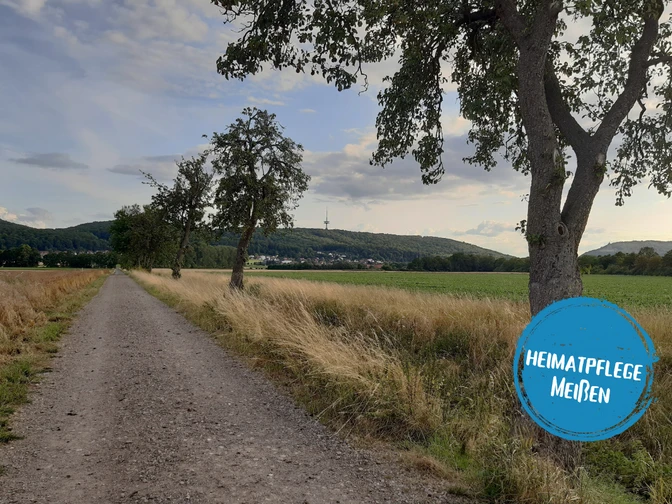 Minden - meissen blau.png Das Bild zeigt einen Feldweg mit Blick auf den Fernsehturm in Porta Westfalica.