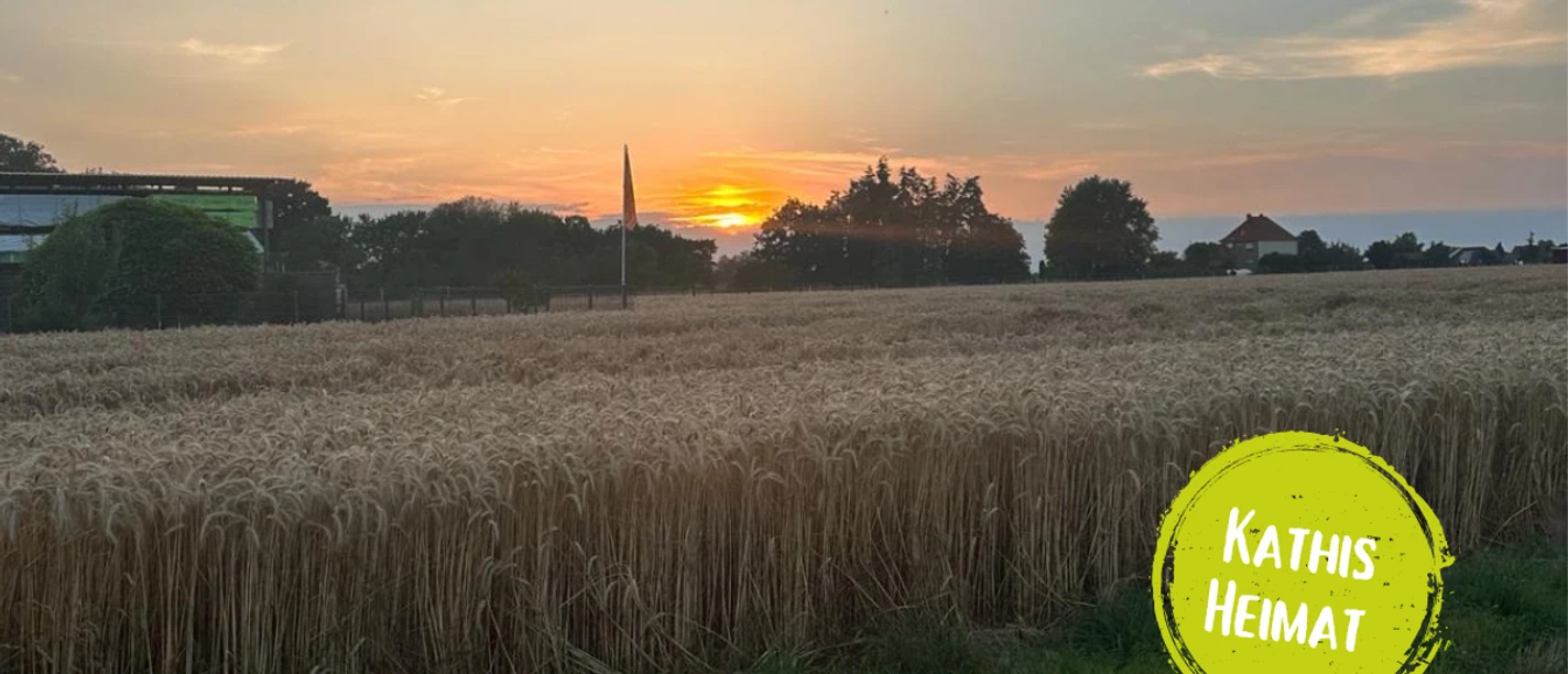 Minden - Nordstadt.png Das Bild zeigt ein Feld.
