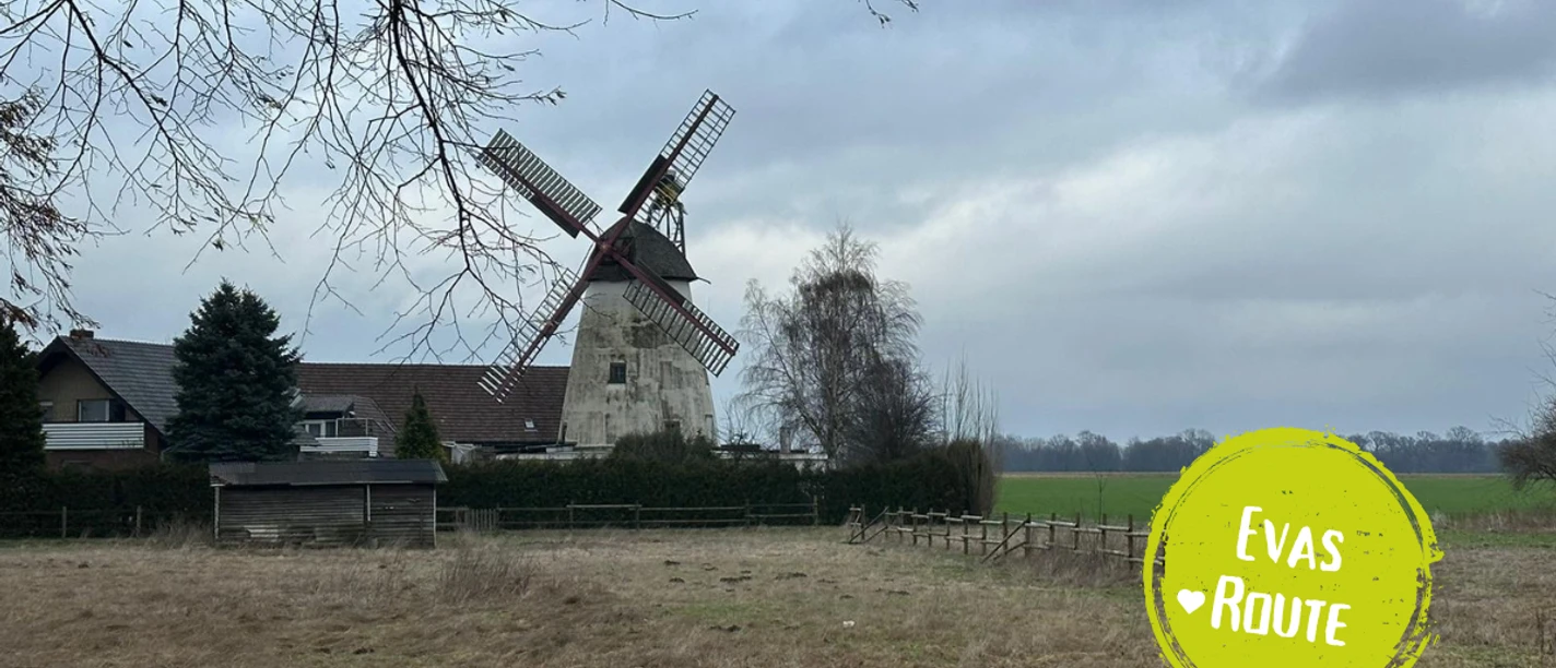 Minden - stemmer.png Das Bild zeigt die Windmühle in Stemmer.