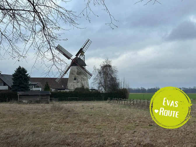 Minden - stemmer.png Das Bild zeigt die Windmühle in Stemmer.