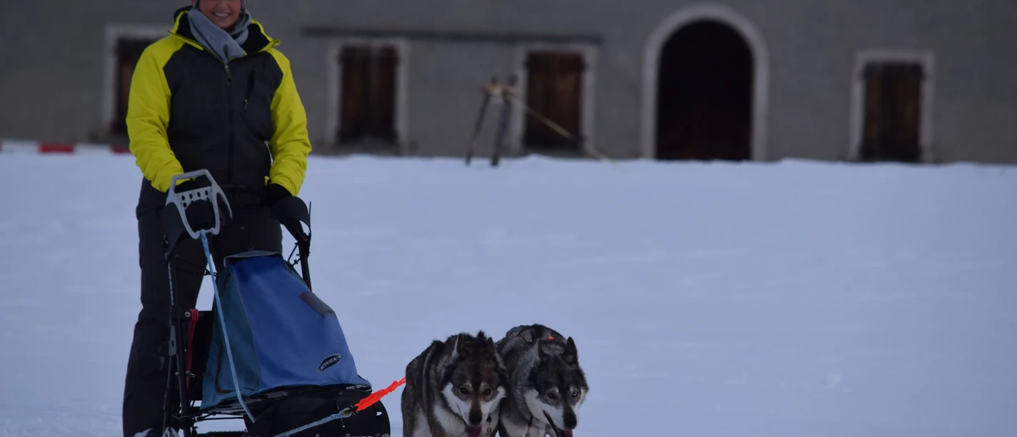 9bf2a5b2-843a-497e-98f7-643394567095-bilder_hochladen-Simplon_2024-2024_MA_Header_01.webp