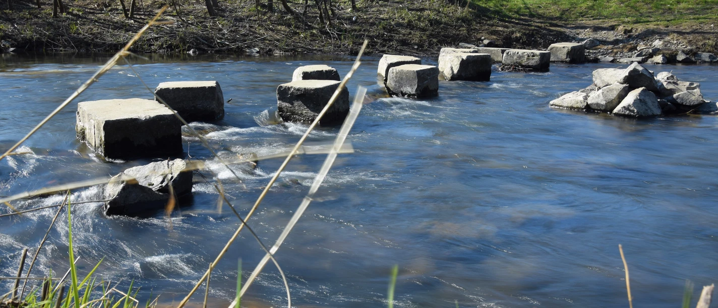 Furt über die Wupper Trittsteine überqueren den Fluss; ruhiges Wasser und grüne Ufer im Hintergrund.