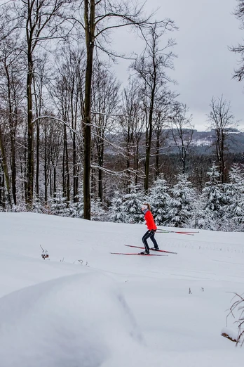 Langläuferin im verschneiten Wald in Willingen Langläuferin im verschneiten Wald in Willingen