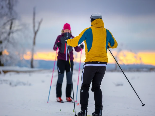 Langläufer Rückenansicht Langläufer Rückenansicht