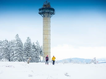 Langläufer am Hochheideturm in Willingen Langläufer am Hochheideturm in Willingen