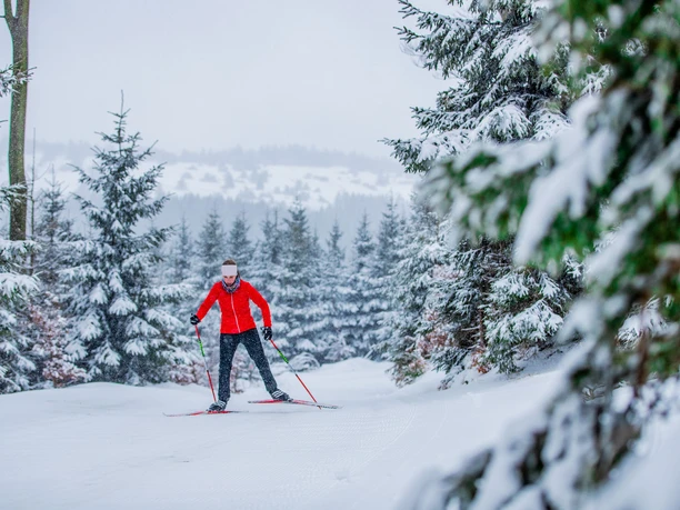Langläuferin im Winterwald in Willingen Langläuferin im Winterwald in Willingen