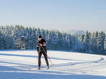 Langläufer in Loipe Langläufer in Loipe