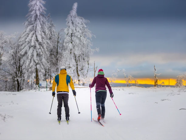 Langlaeufer in Willingen bei Sonnenuntergang Langlaeufer in Willingen bei Sonnenuntergang