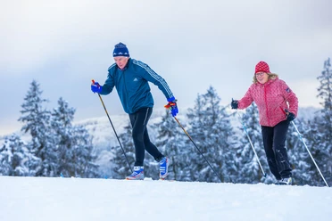 Langläufer-Paar vor verschneiten Tannen Langläufer-Paar vor verschneiten Tannen