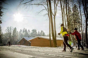 Langläufer in der Loipe vor Holzhütten Langläufer in der Loipe vor Holzhütten