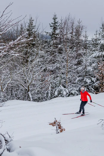 Langläuferin im Winterwald in Willingen Langläuferin im Winterwald in Willingen